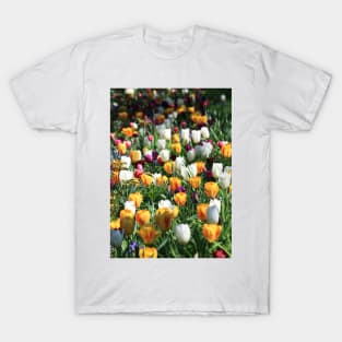 Tulip Background T-Shirt